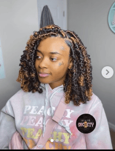 Multicolored Shoulder Length Soft Locs