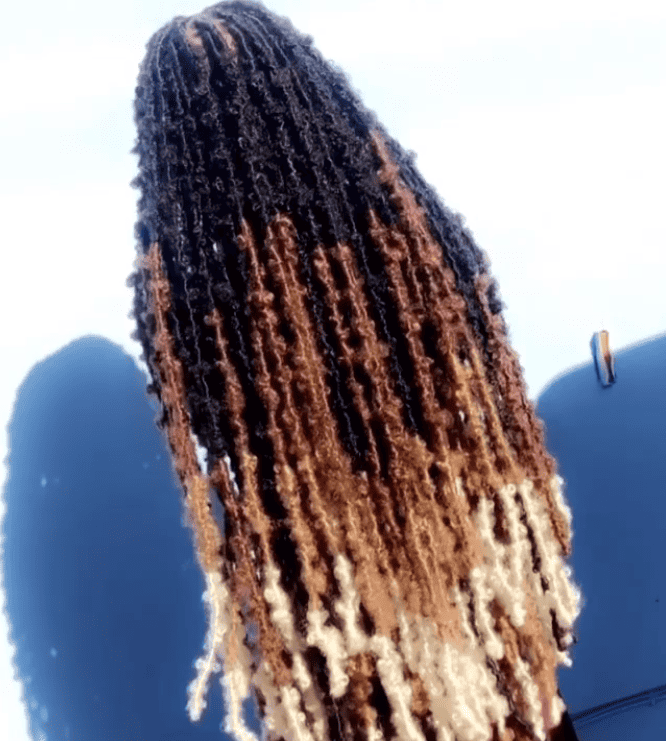 Microlocs vs Sisterlocks: What's the Difference? (Complete 2023